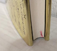 スンダ・過ぎし日の夢 (アジアの現代文学・インドネシア)