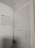 Log Cabin Restructured ～23 Log Cabin Quilt Projects Made with Triangles, Diamonds, Hexagons and Curves～ (英語版手芸洋書)