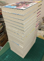 痛いのは嫌なので防御力に極振りしたいと思います。(ライトノベル①～⑲巻まで 19冊セット) カドカワBOOKS