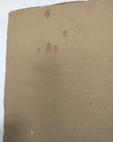 安井曾太郎素描集1904-1910