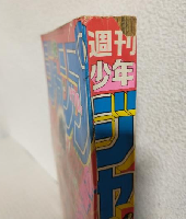 週刊少年ジャンプ (1984年 No.21)