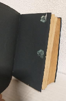 縮刷 向上論