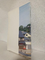 1995 掛川城大手門 掛川城 ～大手門番所復元整備報告書～ (静岡県掛川市)