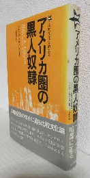 アメリカ圏の黒人奴隷 ～比較文化史的試み～