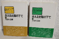 炎える太陽の下で (上下巻 2冊セット)