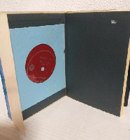 北一輝「日本改造法案」 (日本の歴史を変えた本シリーズ)