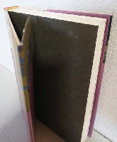 戦闘技術の歴史2 (中世編)