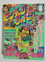 ビンテージジャパン (白夜ムックVol.32)