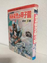 ああ栄光の甲子園 ～高校野球栄光と感動の記録のすべて～ (昭和51年刊)