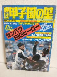 輝け甲子園の星 (1984年 No.2 第56回センバツ高校野球全31試合)