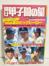 輝け甲子園の星 (1985年 No.5 第67回全国高校野球選手権)