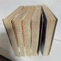 虎視眈々 (全5冊セット) 劇画キングシリーズ