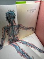 澤田流 鍼灸ノートブック 澤田流秘伝経穴公開