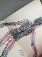 澤田流 鍼灸ノートブック 澤田流秘伝経穴公開