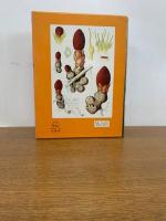 原色牧野植物大図鑑　続編