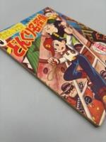 日の丸 新年号 ふろく どんぐり名探偵