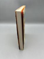 江戸川乱歩全集10 魔法人形 