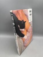 有森也実写真集