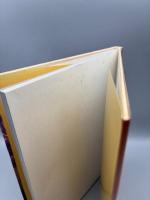 浜丘麻矢写真集 うそつき