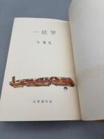 一絃琴