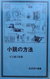 小説の方法　岩波現代選書