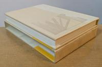 プレオー８の夜明け