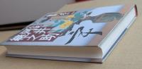 小説河井継之助 : 武装中立の夢は永遠に