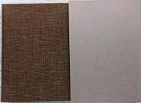 白樺のころ　日本名作自選文学館