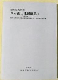 愛知県西尾市　八ッ面山北部遺跡Ⅰ　八ッ面町地区