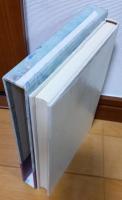 夢うつつの記 : 遺作中篇