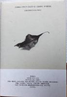 日の匂い