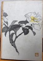 永井荷風作品集　第9巻