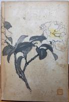 永井荷風作品集　第5巻