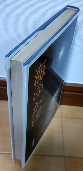21YCFQDGY9L._UF350,350_QL50_.jpg