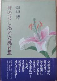 神の汚し忘れた隠れ里
