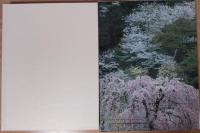 四季花ごよみ　春　草木花の歳時記