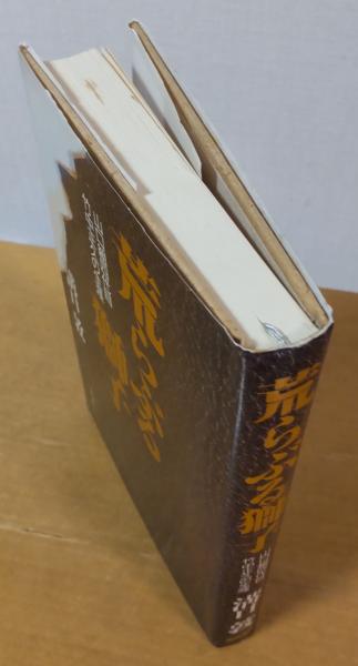 荒らぶる獅子 : 山口組四代目竹中正久の生涯(溝口敦 著) / 古本、中古
