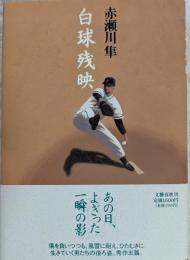 白球残映