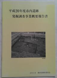 平成20年度市内遺跡発掘調査事業概要報告書　豊田市