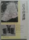 江古山遺跡　豊田市埋蔵文化財発掘調査報告書　第55集