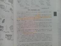 水汲遺跡 第2・3・5・6次調査　豊田市埋蔵文化財発掘調査報告書　第49集
