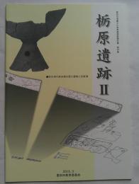 栃原遺跡Ⅱ　豊田市埋蔵文化財発掘調査報告書　第64集