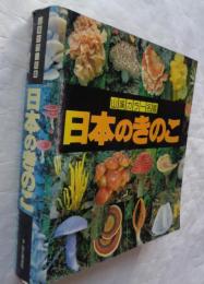 日本のきのこ　山渓カラー名鑑