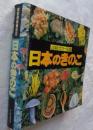 日本のきのこ　山渓カラー名鑑