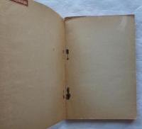 ナチスに於ける日本精神史の一研究