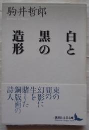 白と黒の造形　講談社文芸文庫