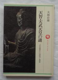 天智・天武天皇の謎　日本書紀の虚偽と真実　(ロッコウブックス)