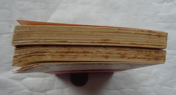 ハイネ 歌の本 全2冊 岩波文庫(井上正蔵訳) / 古本、中古本、古