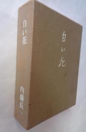 白い花