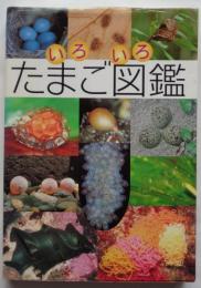 いろいろたまご図鑑